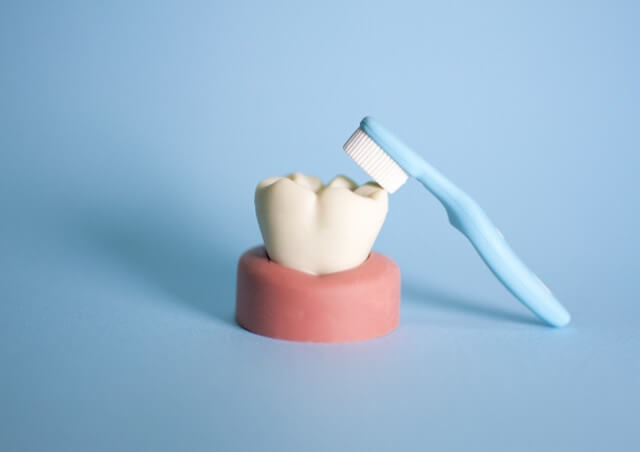 あざみ野の歯科なら虫歯の予防に力を入れる【あざみ野ポプラ歯科クリニック】～状態・事情に応じておすすめの治療をご提案～